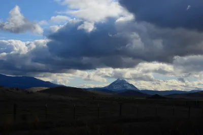 DSC_2891 (Large).JPG